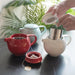 Loveramics Pro Tea Teapot with Infuser (400ml) - Beige